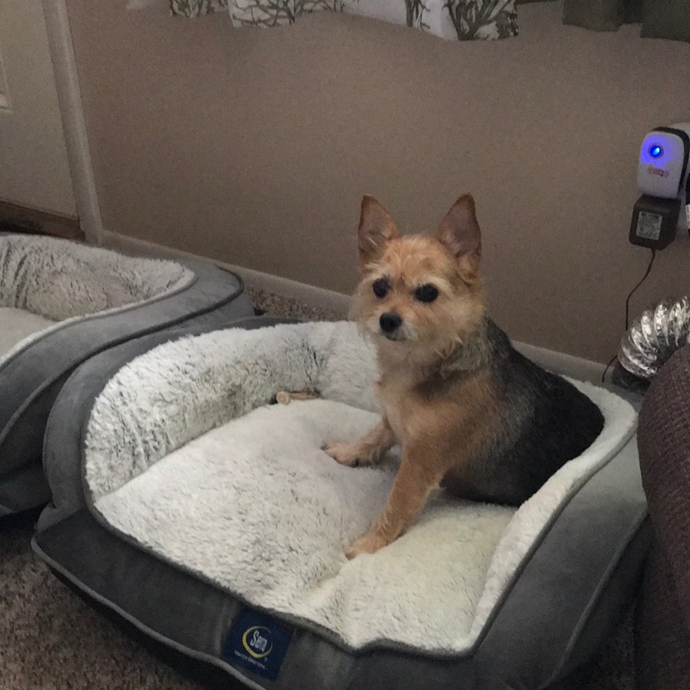 Meet your Posher, Lisa